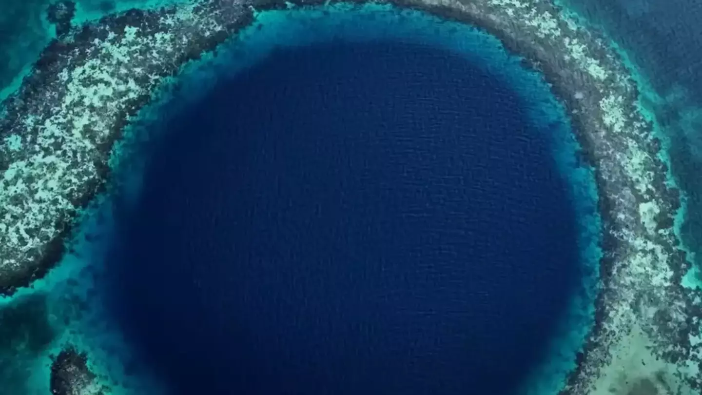 Chilling moment drone dropped to bottom of The Great Blue Hole gets attacked by creature of the deep on way down