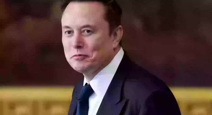Elon Musk reveals fear of being assassinated by 'desperate' people as he tries to 'uncover corruption'