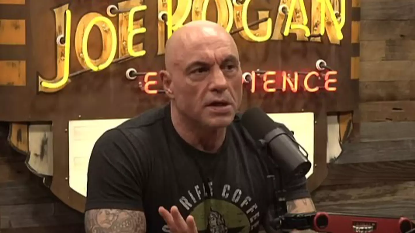 Joe Rogan admits he'll never discuss simulation theory with his wife and kids as 'he's convinced'