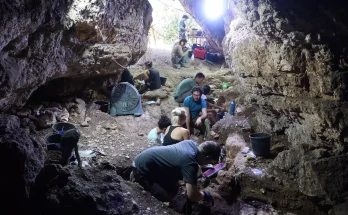 Scientists have just made a discovery about humans dating back 110,000 years and it changes everything