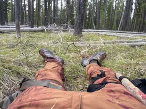 Bear attack survivor recorded chilling final message to loved ones after animal ‘ravaged’ his body