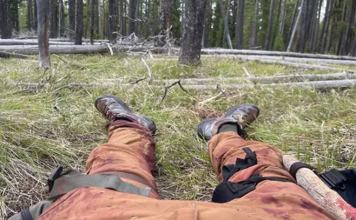 Bear attack survivor recorded chilling final message to loved ones after animal 'ravaged' his body