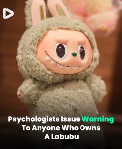 Psychologists Issue Warning For Anyone Who Owns A Labubu