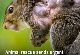 The consequences could be extreme 😳