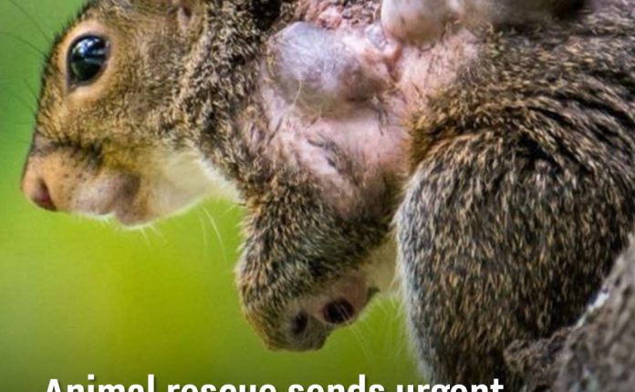 The consequences could be extreme 😳