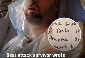 Bear attack survivor wrote chilling final note to loved ones after picking up pieces of his own flesh