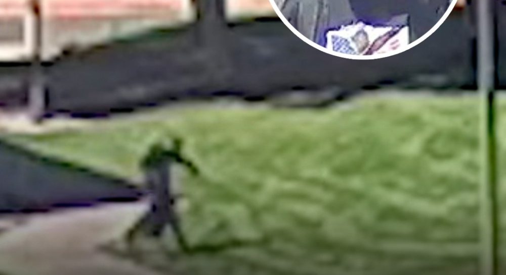 It shows exactly how he got away.